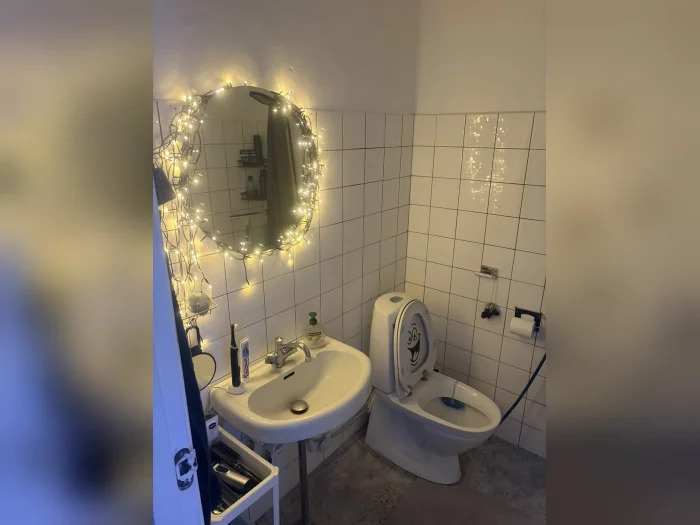 Forhåndsvisning 12