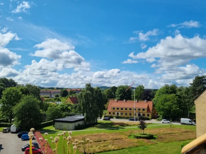 Forhåndsvisning 1
