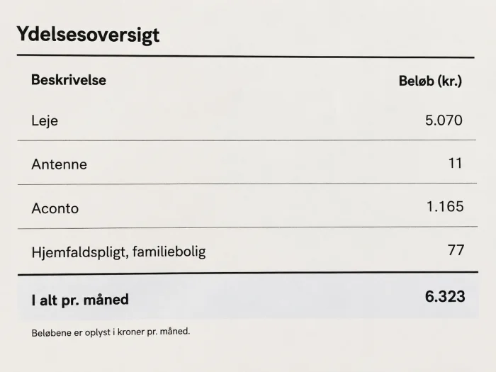 Forhåndsvisning 5