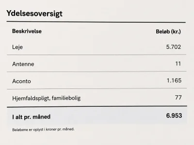 Forhåndsvisning 5