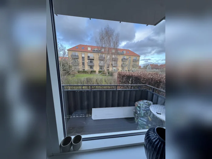 Forhåndsvisning 1