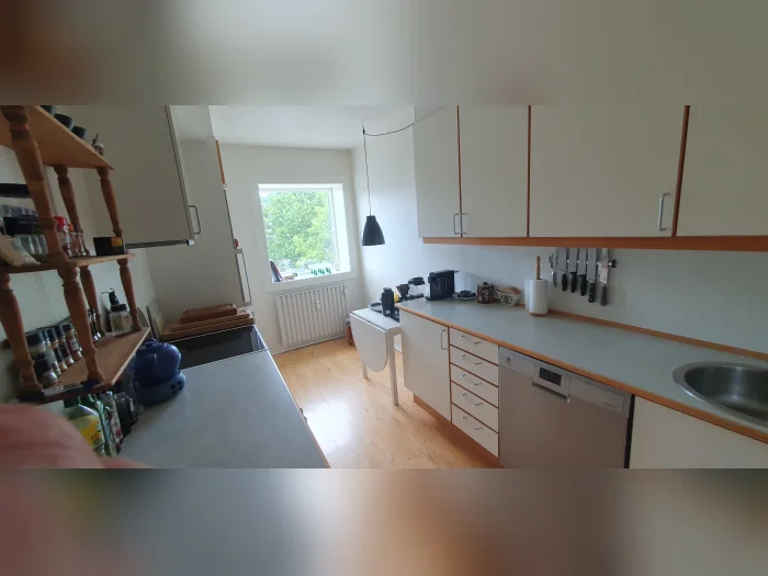 Forhåndsvisning 5