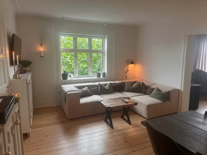 Forhåndsvisning 2