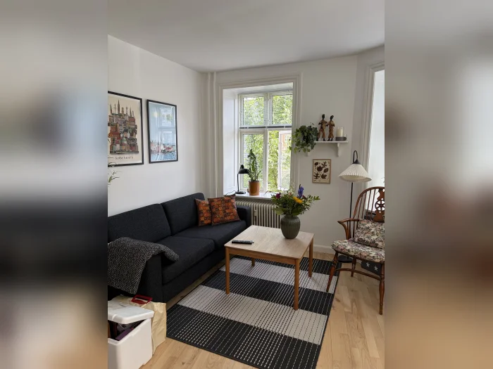 Forhåndsvisning 1