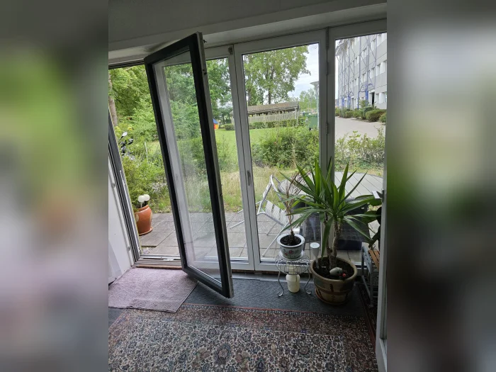 Forhåndsvisning 5