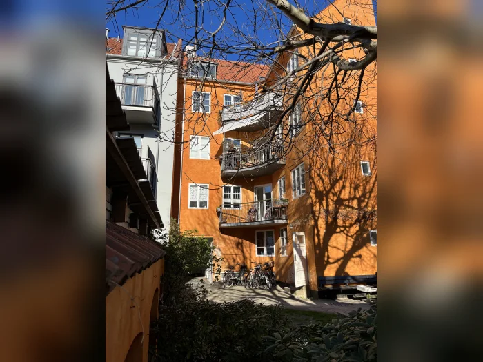 Forhåndsvisning 5