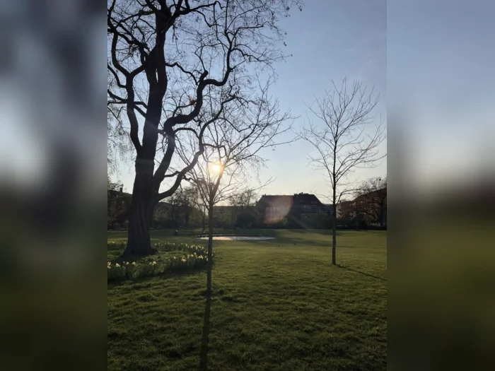Forhåndsvisning 5