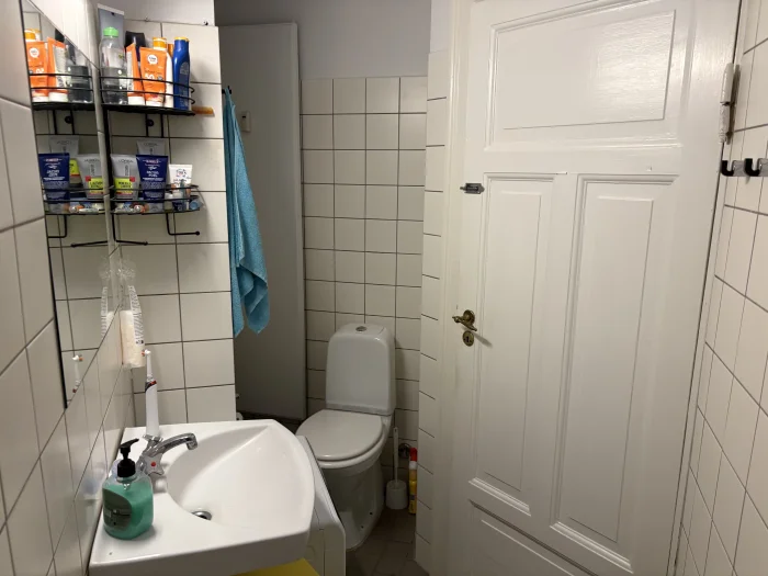 Forhåndsvisning 3