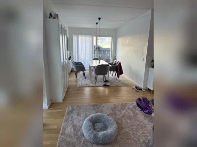 Forhåndsvisning 1