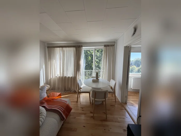 Forhåndsvisning 1