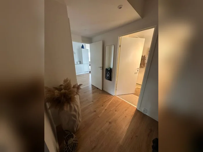 Forhåndsvisning 2