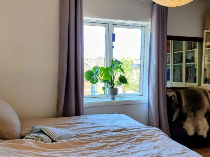 Forhåndsvisning 3